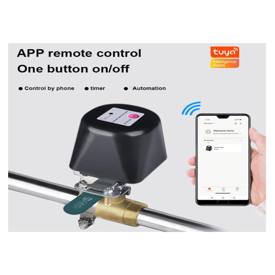 Smart Gas-Water Flow Valve
