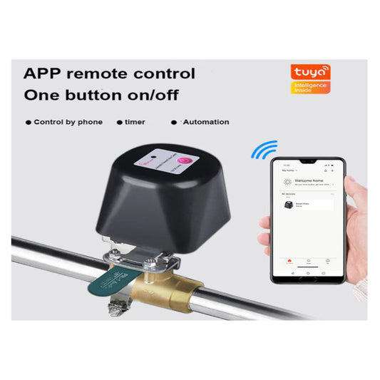 Smart Gas-Water Flow Valve