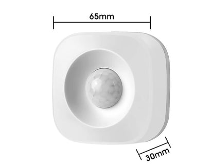Tuya ZigBee PIR Motion Sensor Detector